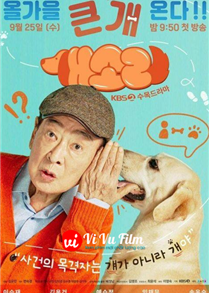 Chú Chó Biết Tuốt